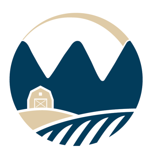 Ariat, Infant Brown Lil' Stompers Durango Boot | Wilco