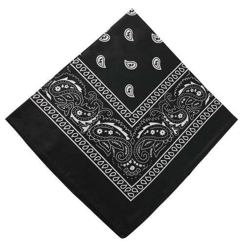 Darzheoy 22 inch Cotton Paisley Bandana Multi Colored Set Cowboy Bandana Head Scarf Double-sided for Men & Women