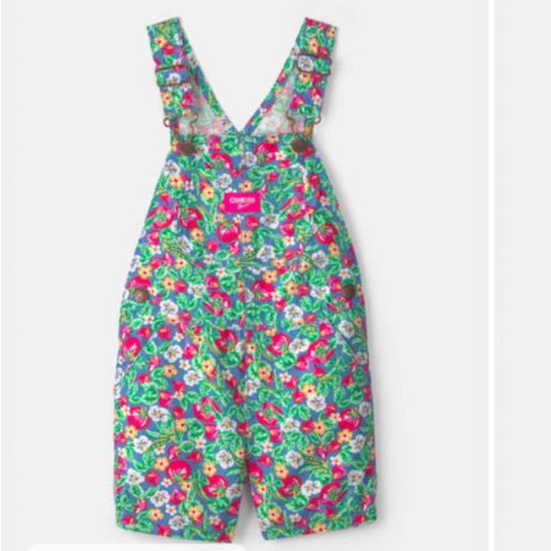 Toddler Girl Harvest Garden Shortall - OshKosh B'gosh | Carter's