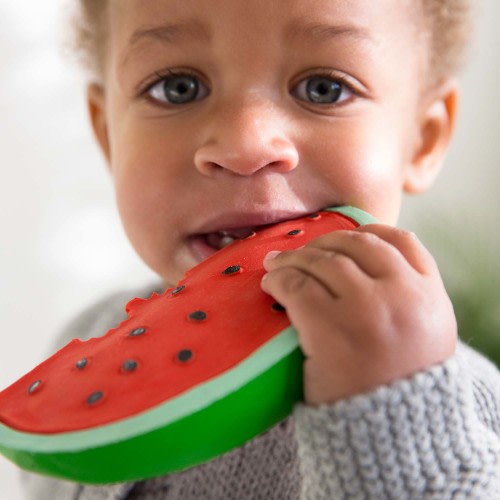 Baby Teethers | Sustainable Baby Teething Toys | Oli&Carol US