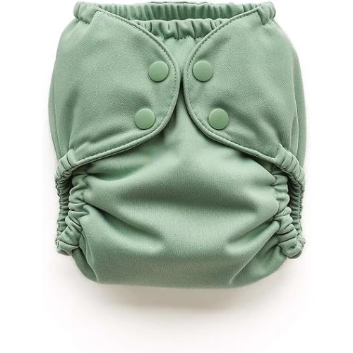 Esembly Cloth Diaper Cover, Willow, Size 1 (7-17lbs)