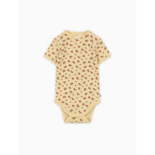 Pointelle Minnie SS Bodysuit in Carmona - 9M