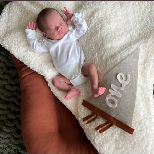 Baby milestone cards, Kids and Baby monthly milestone marker, Personalized pennant, Monthly milestones baby boy, Newborn  Milestone pennant