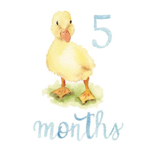 Baby Monthly Milestone Cards