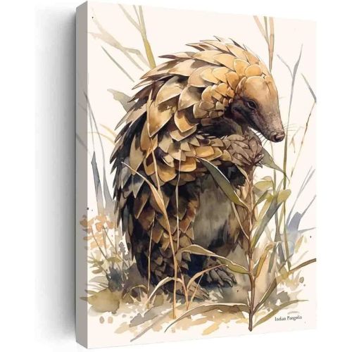 GeRRit Indian Pangolin watercolor painting print,animal canvas wall art nursery,decors for bedroom for Office Living Room Bedroom Office Wall Decor-12 x16 canvas print with frame