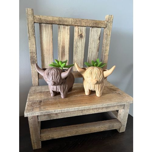 Highland Cow Air Plant Holder