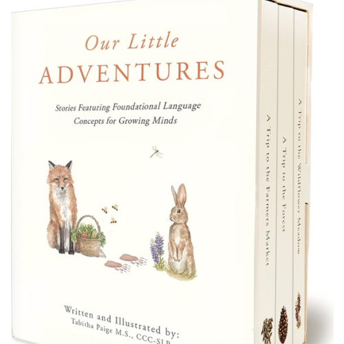 Our Little Adventures: Stories Featuring Foundational Language Concepts for Growing Minds (Tabitha Paige Children's Book Series)