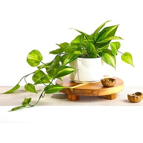Kurrajong Farmhouse Dark Green Fake pothos | Fake Plant for Shelf Decor | Artificial Trailing Ivy Plant with 5" Wide Ceramic Pot for Bathroom, Kitchen, livingroom and Office Decor