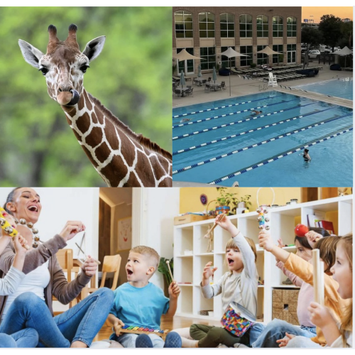 Baby Enrichment Activities