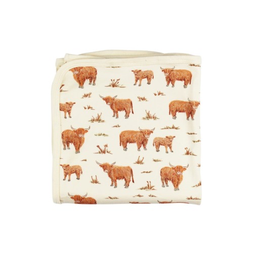 Organic Cotton Baby Blanket