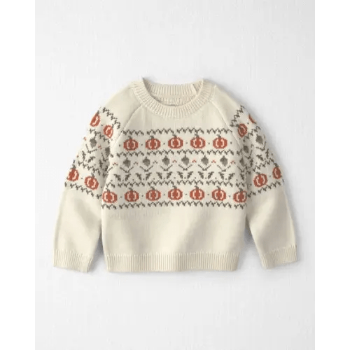 Toddler Organic Cotton Fair Isle Sweater Knit Pullover - Little Planet | Carter's