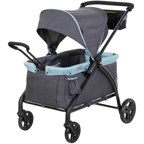 Baby Trend Expedition/Tour LTE 2-in-1 Stroller Wagon, Desert Blue