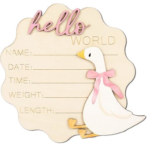 Silly Goose Birth Announcement Sign Pink Bow Goose Newborn Milestone Wooden Board Hello World Newborn Sign for First Birthday Baby Shower Photo Prop Keepsake
