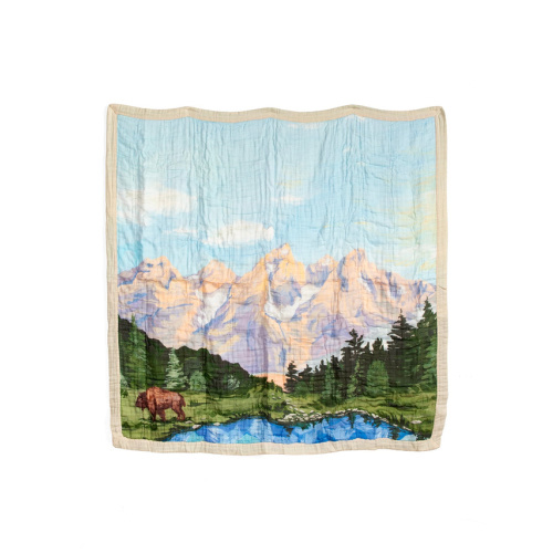 Grand Teton National Park Reversible Landscape Baby Quilt - 1canoe2