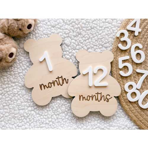 Teddy Bear Monthly Milestone Marker, Interchangeable Month Baby Bear Milestone cards, Monthly Wooden Milestone Discs, Baby Photo Signs