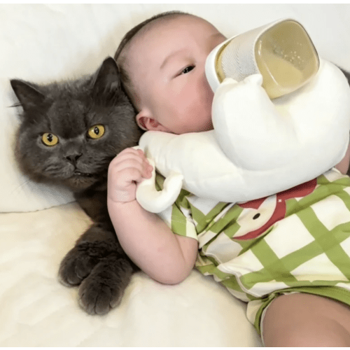 Baby Bottle Feeding Holder | Supervised Feeding Support Pillow Cushion for Twins & Infants 3M+