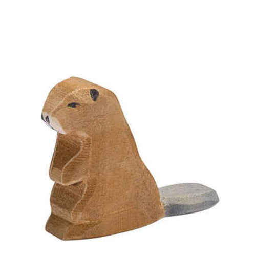 Ostheimer Beaver Sitting