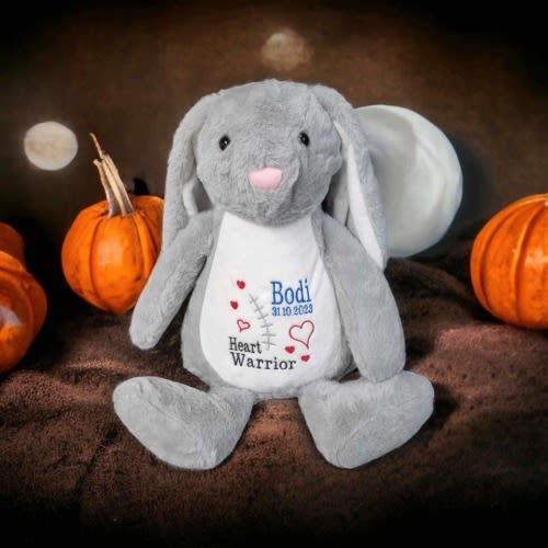 Personalized Heart Warrior Teddy Bear: Embroidered Stuffed Animal, CHD Gift
