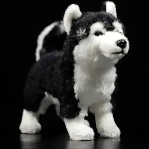 Alaskan Malamute Dog Soft Stuffed Plush Toy - PlushStore.com - World of plushies https://share.google/zC7LlOfwCMoIOrx8f - Google Search