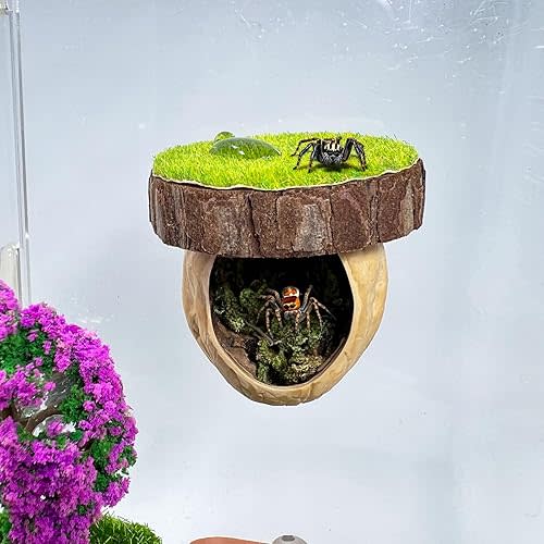 Jumping Spider Hideout - Magnetic Hiding Habitat, Climbing Platform, Handmade Fence Accessory From Natural Materials, Suitable for Small Insects