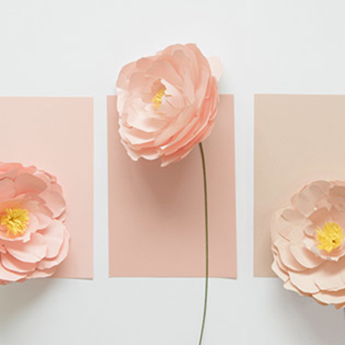 Lynsey's Baby Registry Dashboard | February 08, 2026 Due Date | What To Expect Registry