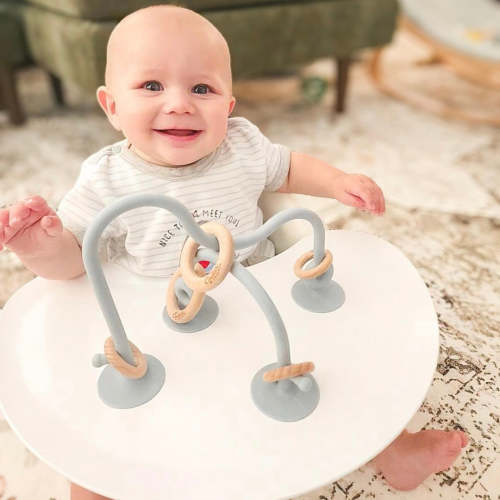 On-The-Go Suction Toy – Calla and Friends