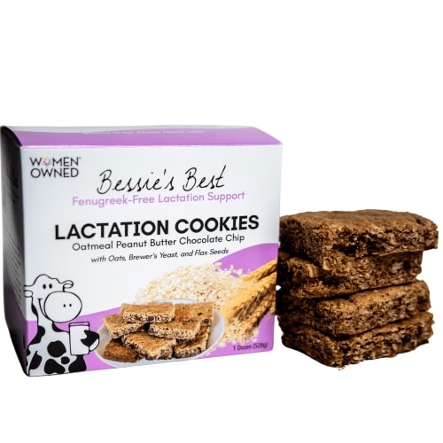 Bessie’s Best Breastfeeding Snacks - Lactation Cookies for Increasing Breast Milk Supply - 1 Dozen