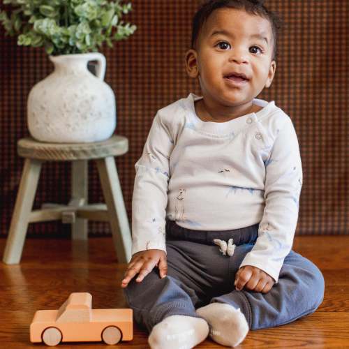 Top Dog Baby Bodysuits 2 Pack – Burt's Bees Baby