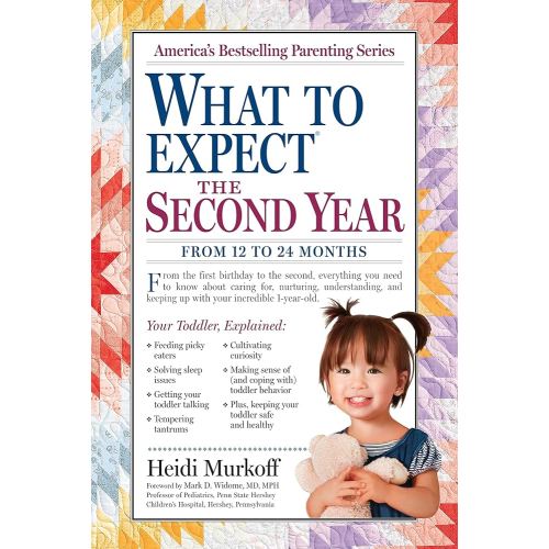 What to Expect the Second Year: From 12 to 24 Months