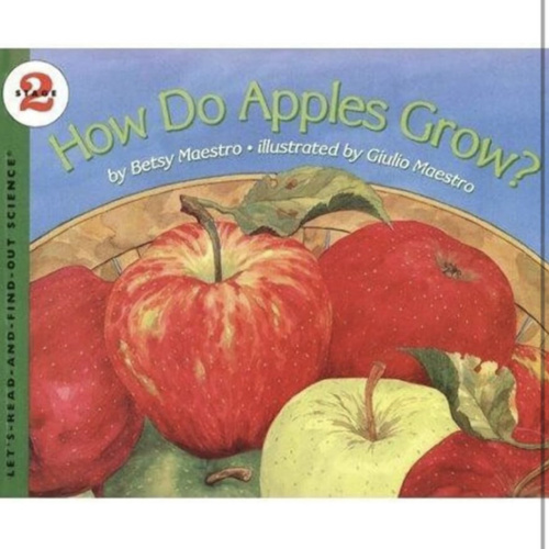 How Do Apples Grow?