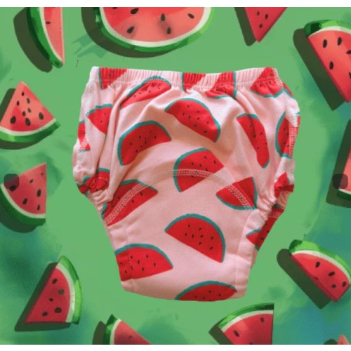 Potty Training Underwear - 5 pack (M)