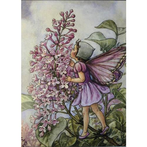 Original Vintage Print 1995 by Cicely Mary Barker.  The Lilac Fairy.  Childs Nursery, Playroom, Childs Gift, Any Home Decor