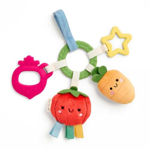 Bitsy Busy Ring Teething Activity Toy