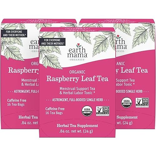 Earth Mama Organic Raspberry Leaf Tea Bags | Labor Tonic & Menstrual Support Herbal Tea, Red Raspberry Leaf Tea for Pregnancy & Postpartum Care Recovery, Caffeine Free Tea, Non GMO, (16 Teabags, 3-Pk)