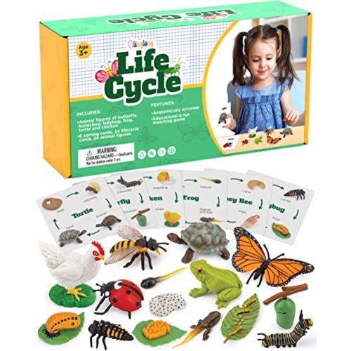 Life Cycle Animal Kit - Montessori Science Toy with 24-Piece Matching Game, Butterfly, Frog, Chicken, Bee, Ladybug and Turtle STEM Educational Gift, Easter Basket fillers for Kids Ages 3-8