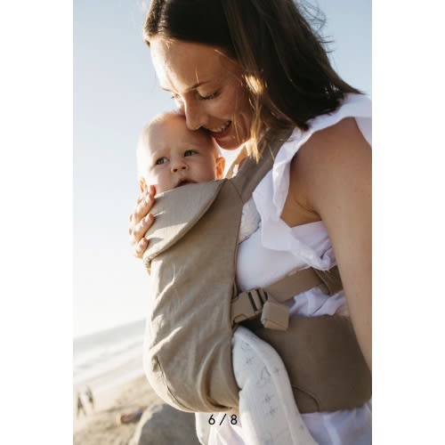 Desert Lark - Aerial Carrier – WildBird