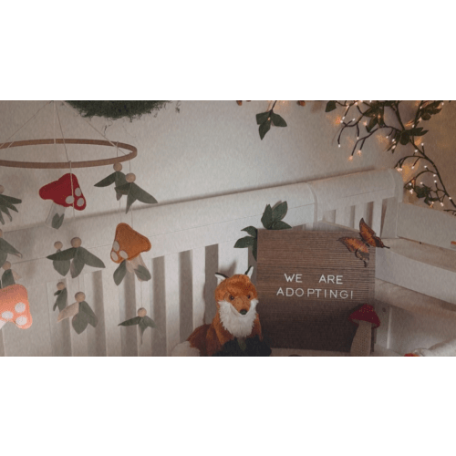 Donate to our Adoption Fund