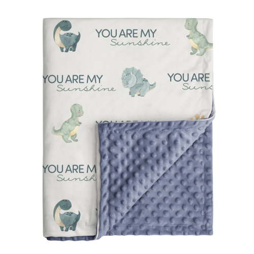 Gllquen Baby Minky Blanket Super Soft for Boys Girls, Baby Gifts Double Layer with Dotted Backing 30"x 40" , Dinosaur World