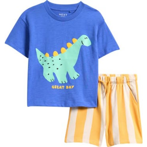 Kids' Dinosaur Graphic T-Shirt & Shorts Set