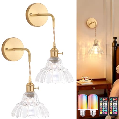Shenmoyl Vintage Battery Operated wall sconces Set of 2, Wall Lamps with Clear Lily of the Shade Pattern Glass, Adjustable Chain Gold Wall Lights, sconces wall Decor for Stairway Living Room Doorway