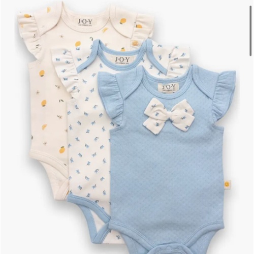 JOY JUST ORGANIC YOU 3-Pack Assorted Bodysuits | Nordstromrack
