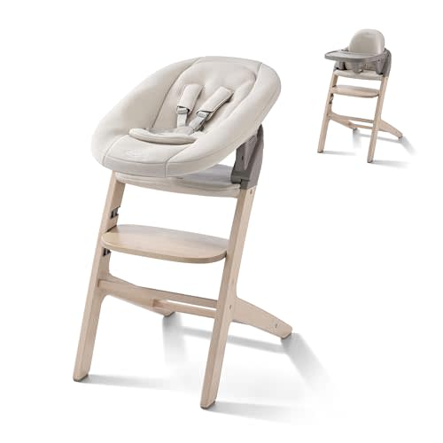 Graco Close2Baby 3-in-1 Highchair with Newborn Seat & Youth Stool | Newborn SecureSeat