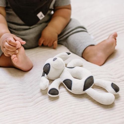 Burt's Bees Baby Unisex Infant Rattle Toy, Nursery Sensory Animal Plush Made with 100% Organic Cotton Shell and Polyester Fill, Sweet Bear, Bunny, or Dog Stuffed Animals for Babies