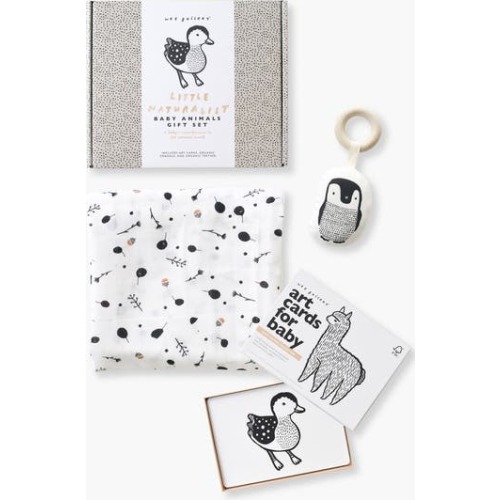 Newborn Gift Set with Swaddle Blanket, Wooden Teether and Art Cards for Baby
