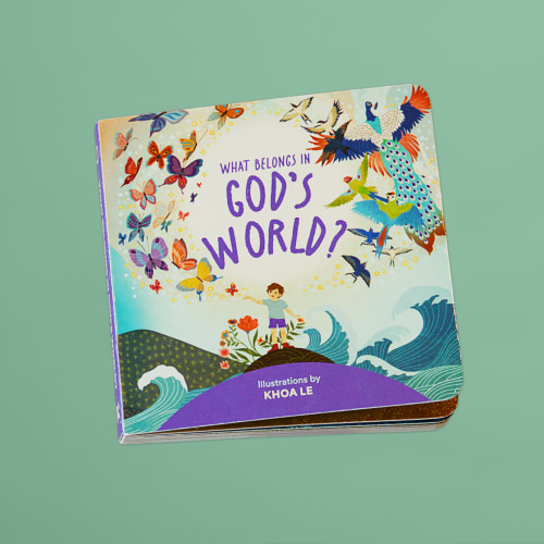 "What Belongs in God's World?" Board Book