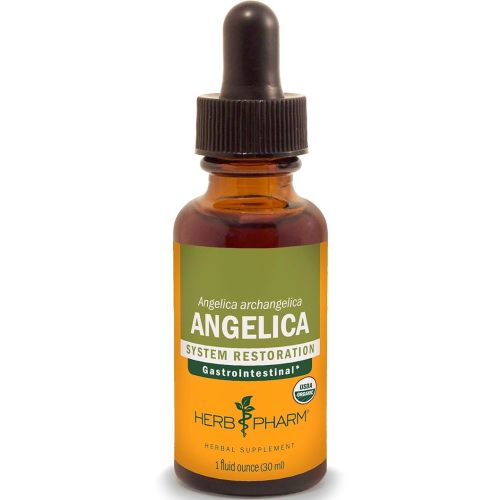 Herb Pharm Certified Organic Angelica Root Liquid Extract for Digestive Support, 1 Fl Oz