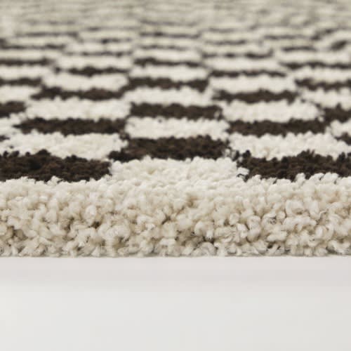 Covey Plush Checkered Thick Shag Area Rug