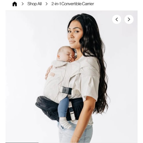 2-in-1 Convertible Carrier