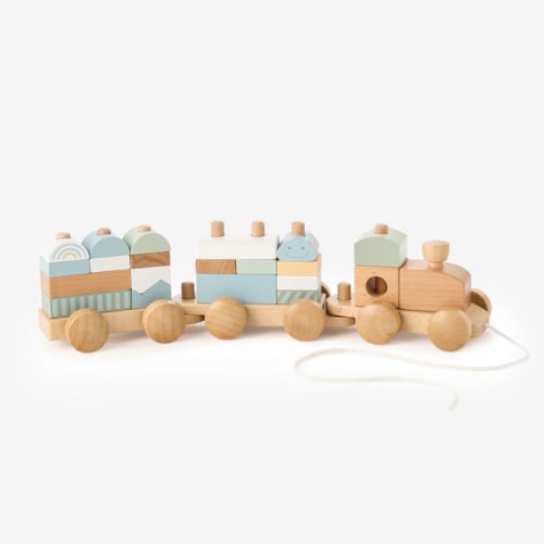 Wooden Push Toy Train BLUE / O/S