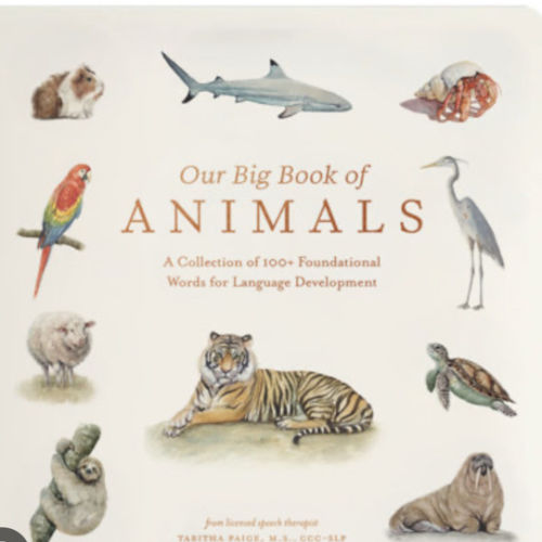 Our Big Book of Animals: First 100 Animal Words for Language Development, including Farm, Jungle, Pets, Bugs, and More (Tabitha Paige Children's Book Series)